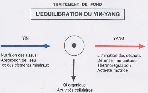 Equilibrer yin et yang