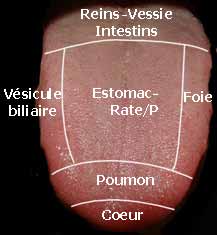 Diagnostique energetique par la langue