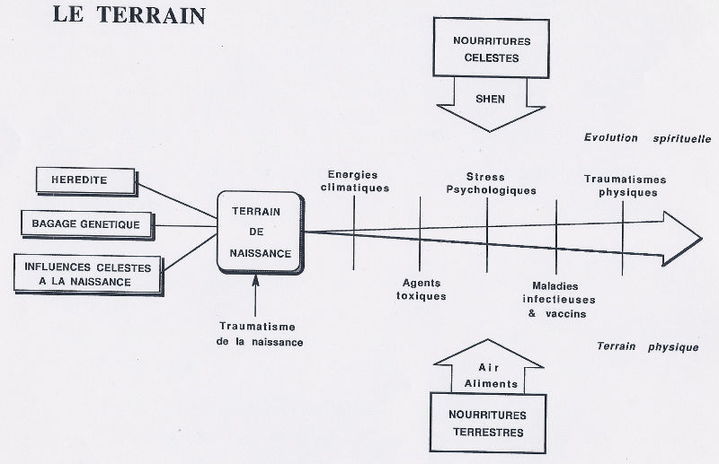 Le terrain