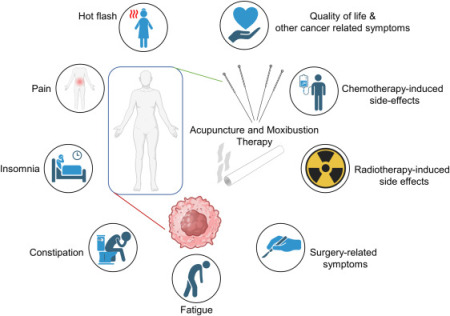 Médecine Chinoise et Société